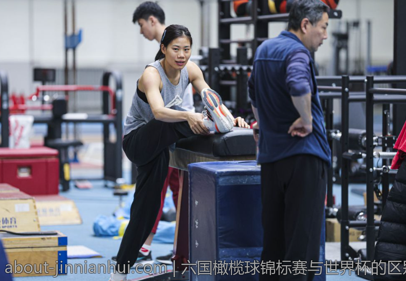 六国橄榄球锦标赛与世界杯的区别